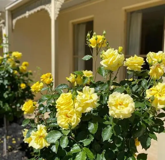 １ベッドルームアパートメント, Acacia Terraces