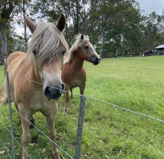 منزل غرفتين نوم, Belvoir B&b Cottages