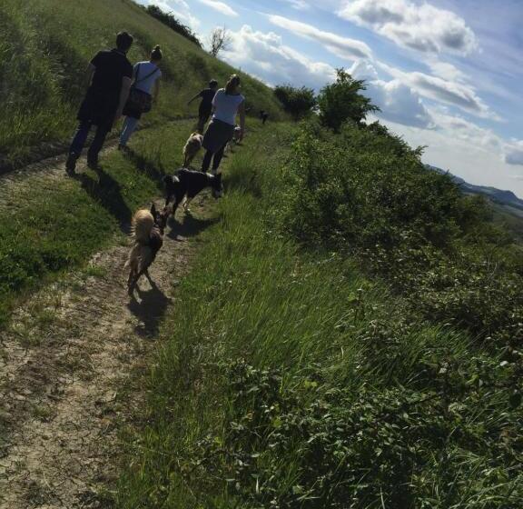 スタンダードトリプルルーム, Agriturismo La Chiusola