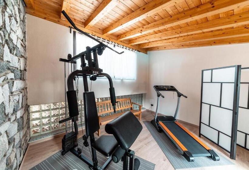 이코노미 룸, Camping Europa