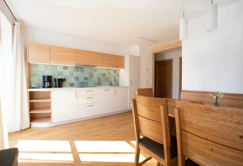 آپارتمان 2 خوابه با بالکن, Weingut Pardellerhof