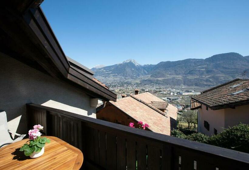 آپارتمان 2 خوابه با بالکن, Weingut Pardellerhof