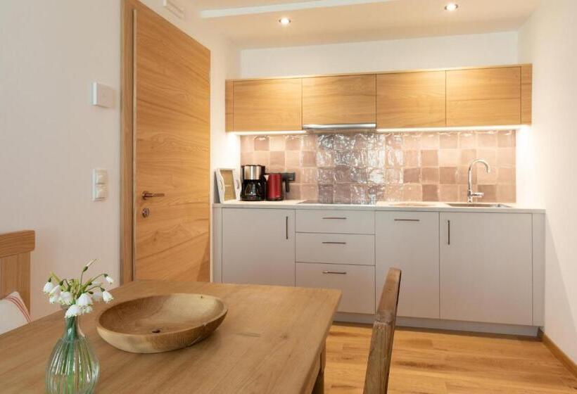 آپارتمان 1 خوابه با بالکن, Weingut Pardellerhof