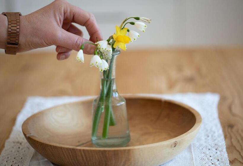 آپارتمان 2 خوابه با بالکن, Weingut Pardellerhof