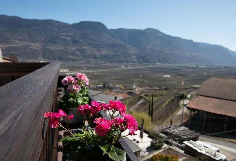 Апартаменты 2 Спальни с Балконом, Weingut Pardellerhof