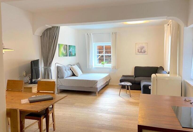 آپارتمان 1 خوابه همکف, Weingut Pardellerhof