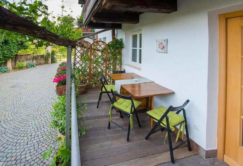 آپارتمان 1 خوابه همکف, Weingut Pardellerhof