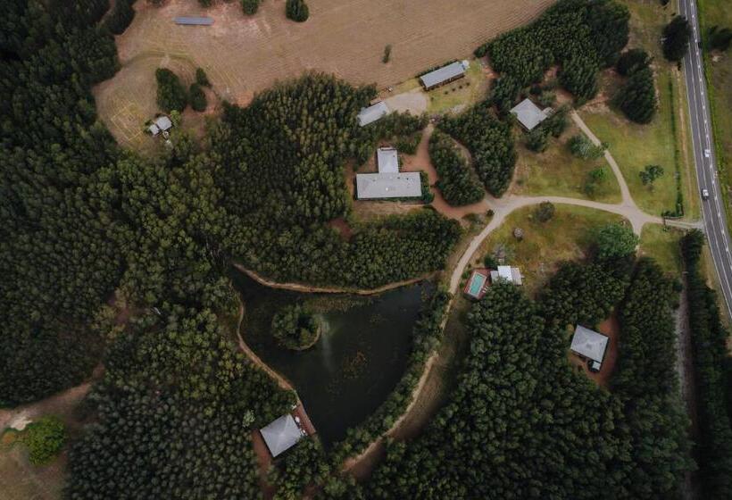 בית, 4 חדרי שינה, Sweetacres Hunter Valley