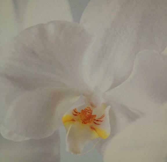 חדר סטנדרט, Hostal Restaurante Puerto Blanco