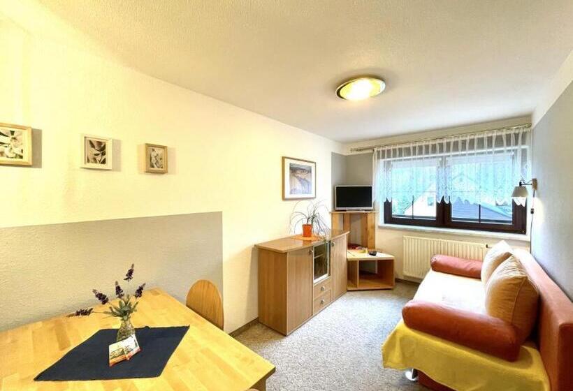 带1个卧室的公寓, Pension Schanzenblick