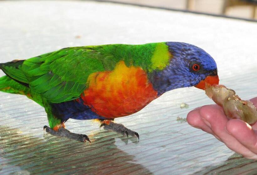 דירת שני חדרים, Baywatch Apartments Merimbula