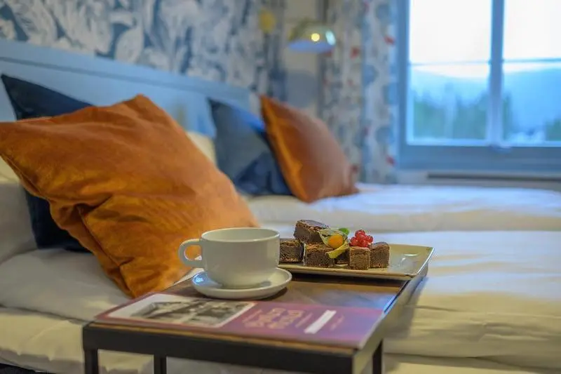 Standard Room, Dølen