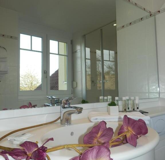 غرفة قياسية, & Restaurant Karpfen