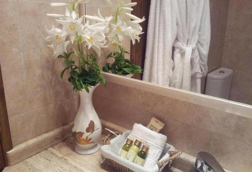 חדר סטנדרט, Rural San Pelayo