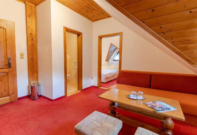 带1个卧室的公寓, Strachanovka   Jánska Koliba