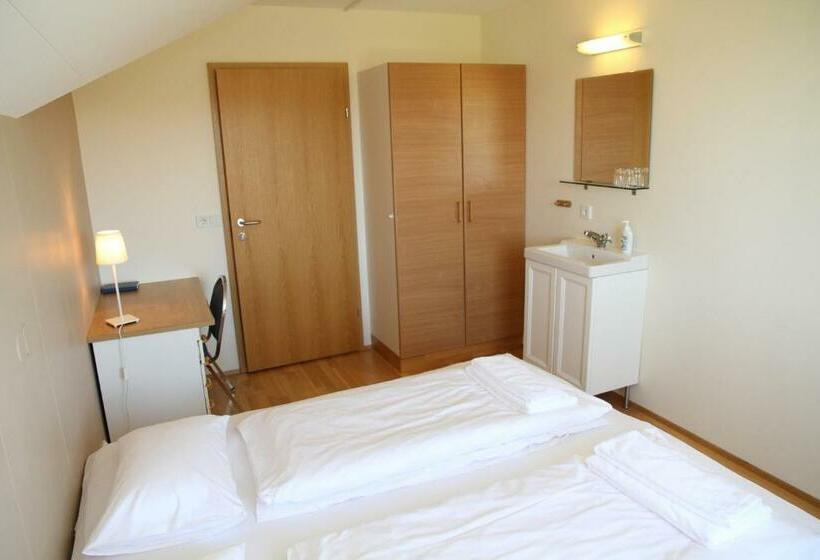 اتاق استاندارد با سرویس بهداشتی مشترک, Eyjólfsstadir Guesthouse