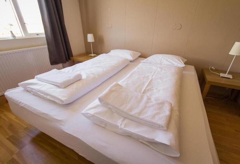اتاق استاندارد با سرویس بهداشتی مشترک, Eyjólfsstadir Guesthouse