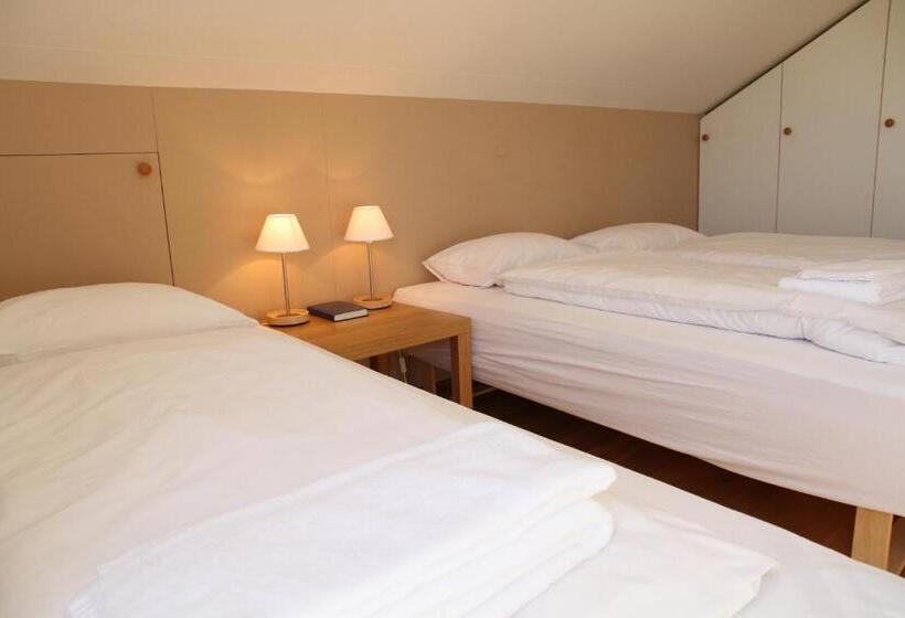 اتاق استاندارد سه تخته با سرویس بهداشتی مشترک, Eyjólfsstadir Guesthouse