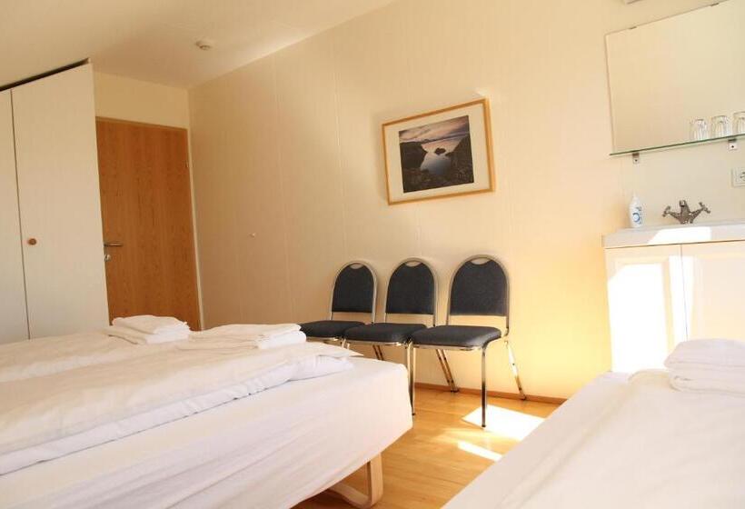 اتاق استاندارد سه تخته با سرویس بهداشتی مشترک, Eyjólfsstadir Guesthouse