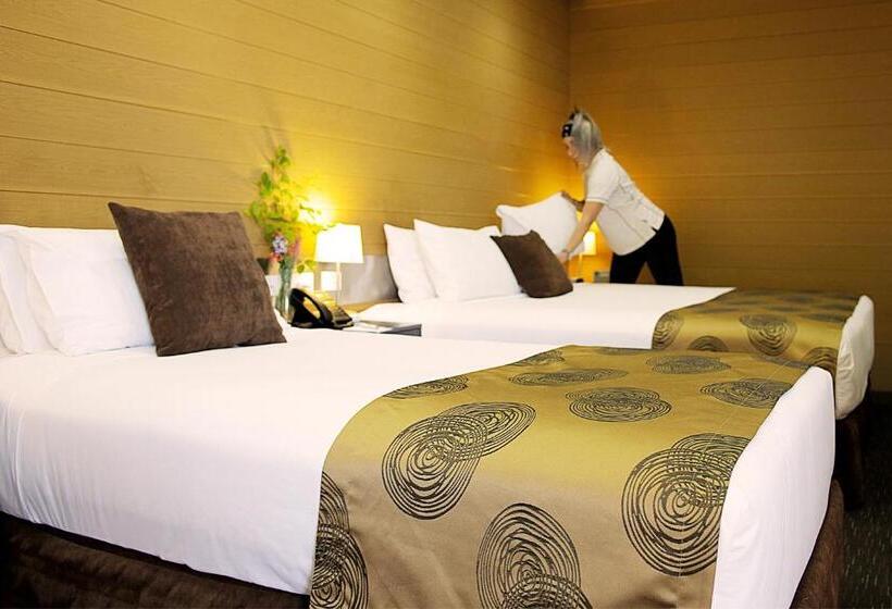 标准间, Room Motels Kingaroy