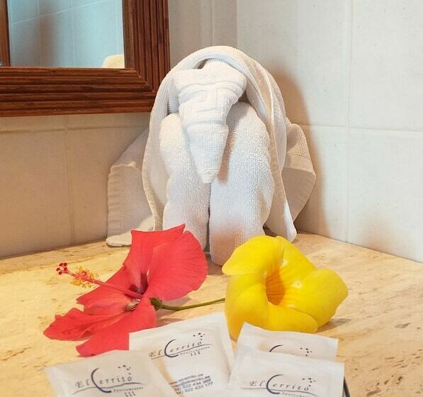 Апартаменты 1 Спальня, Aparthotel El Cerrito
