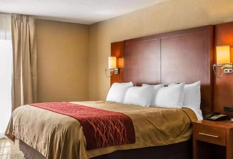 Sviitti King-vuode, Comfort Inn