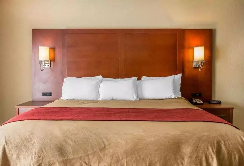 Sviitti King-vuode, Comfort Inn