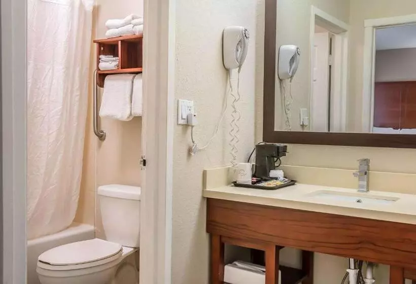 Sviitti King-vuode, Comfort Inn