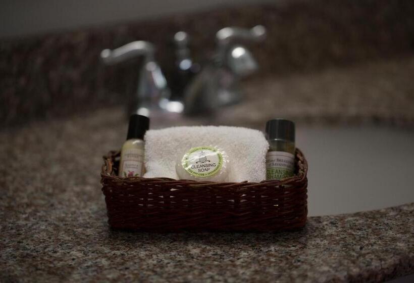 חדר סטנדרט מותאם לאדם עם מוגבלויות, Comfort Inn