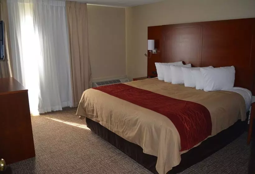 Sviitti Liikuntarajoitteisille, Comfort Inn