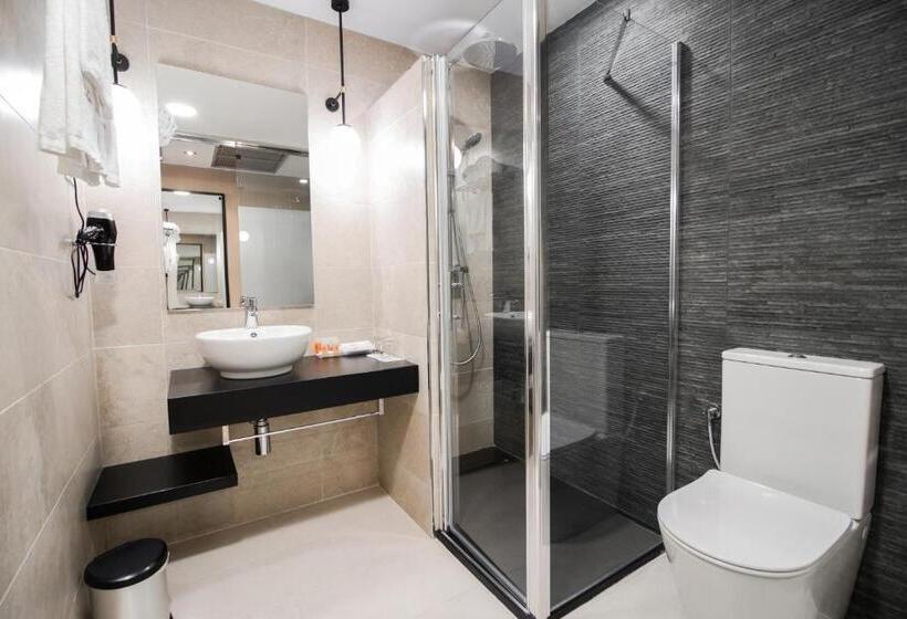 اتاق استاندارد, Petit Palace Puerta Del Sol