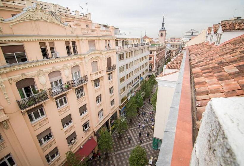 اتاق لوکس با تراس, Petit Palace Puerta Del Sol