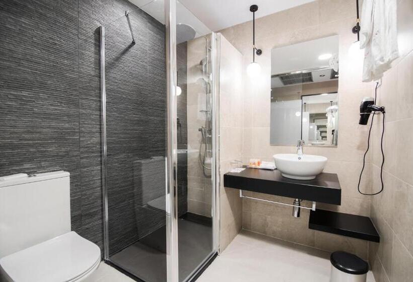 اتاق لوکس با تراس, Petit Palace Puerta Del Sol