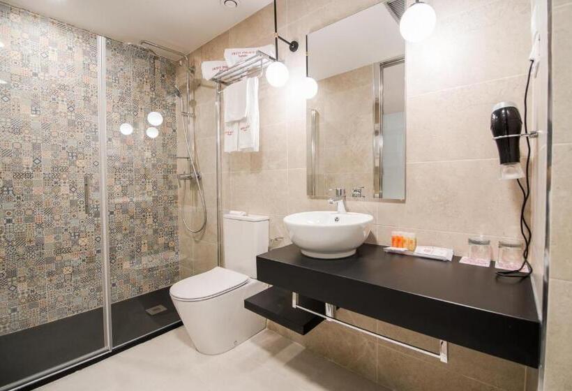 اتاق استاندارد با چشمانداز شهر, Petit Palace Puerta Del Sol