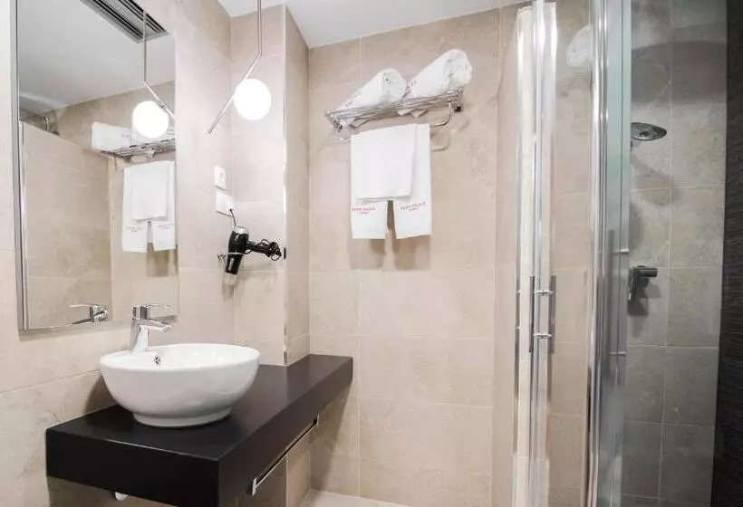 اتاق استاندارد با چشم‌انداز شهر, Petit Palace Puerta Del Sol