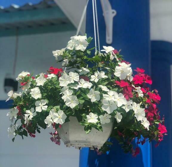 اتاق استاندارد چهار تخته, La Vita