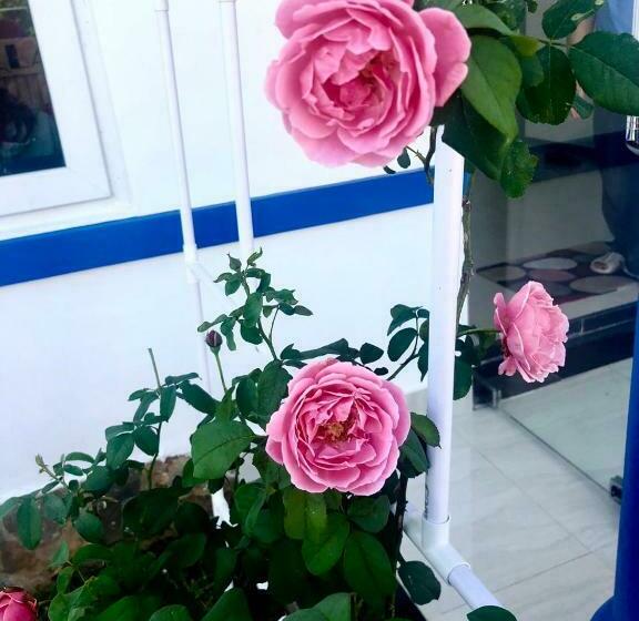 اتاق استاندارد چهار تخته, La Vita