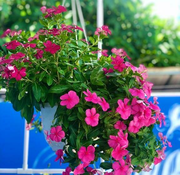 اتاق استاندارد چهار تخته, La Vita