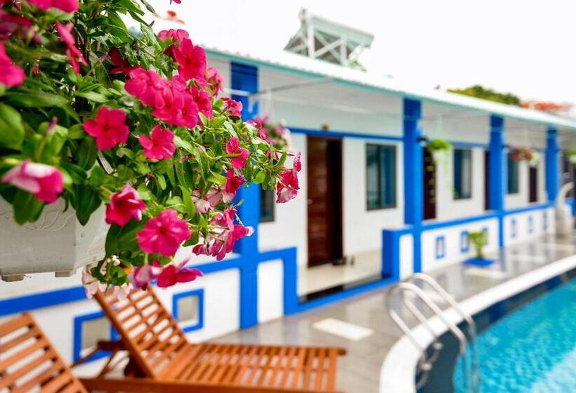 اتاق استاندارد, La Vita