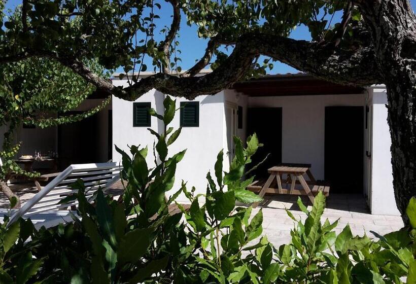 Studio Standard, Agriturismo Vignavecchia