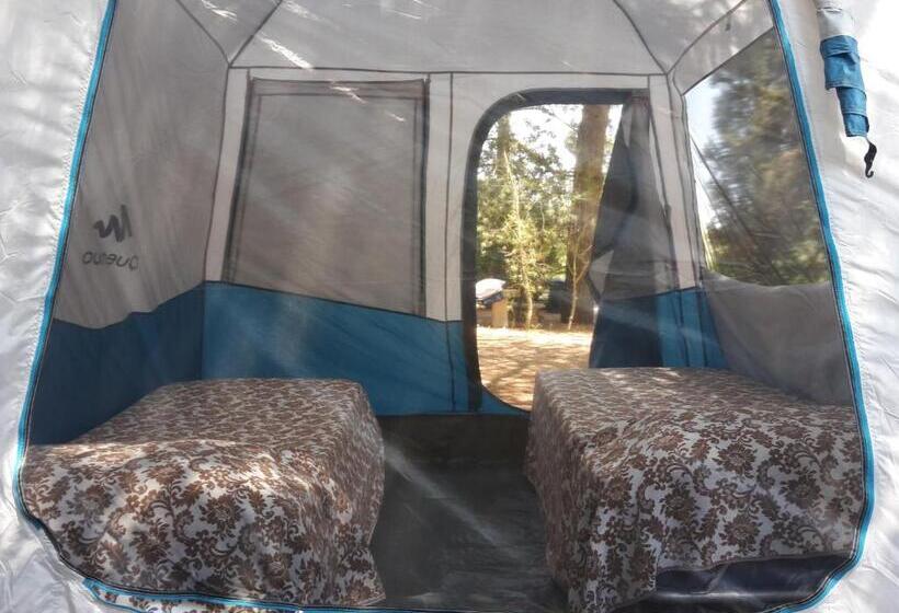 Standard Tent, Agriturismo Vignavecchia