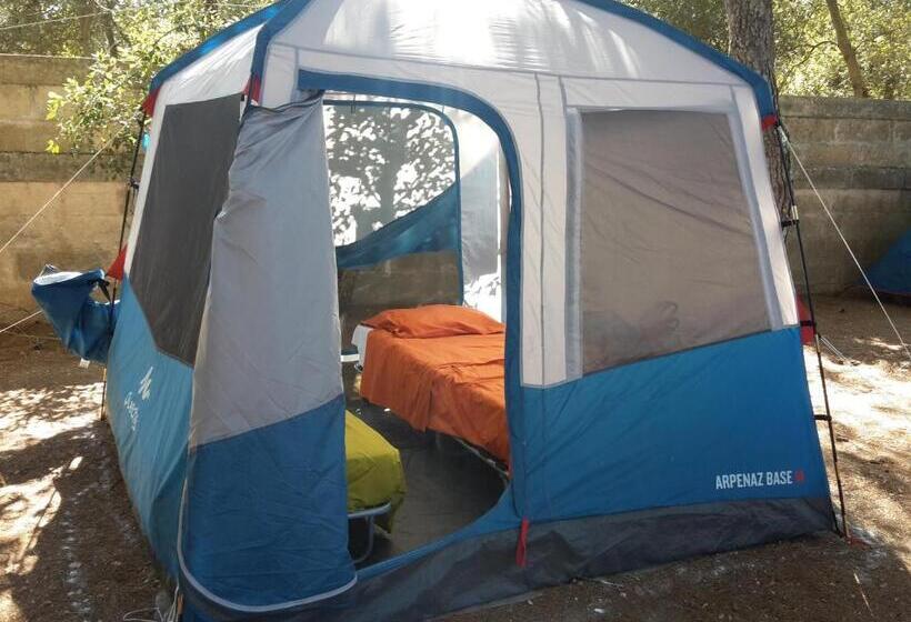 Standard Tent, Agriturismo Vignavecchia