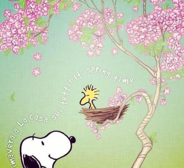 סוויטה, B&b Monferrato La Casa Sui Tetti