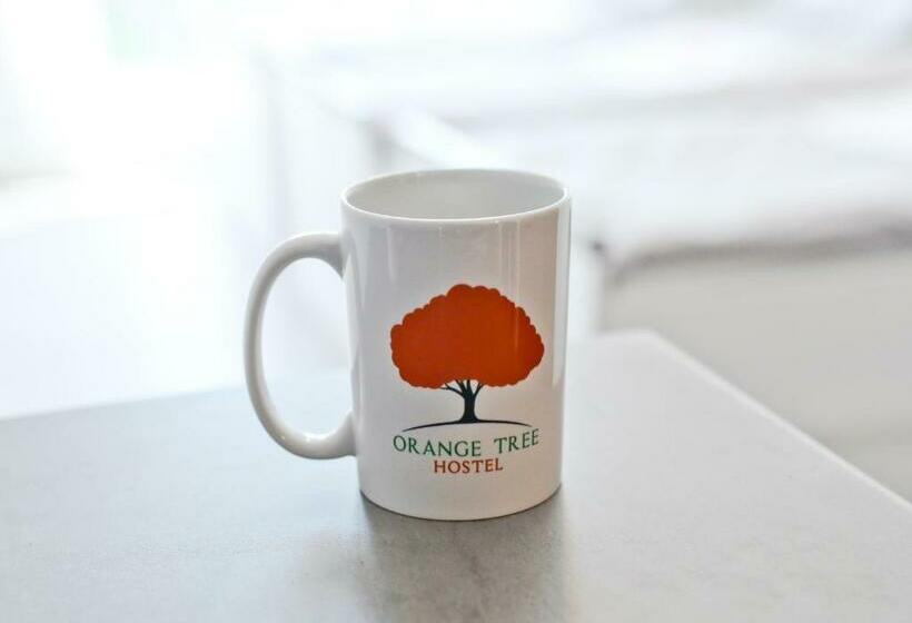 Номер Стандарт Трехместный, Orange Tree