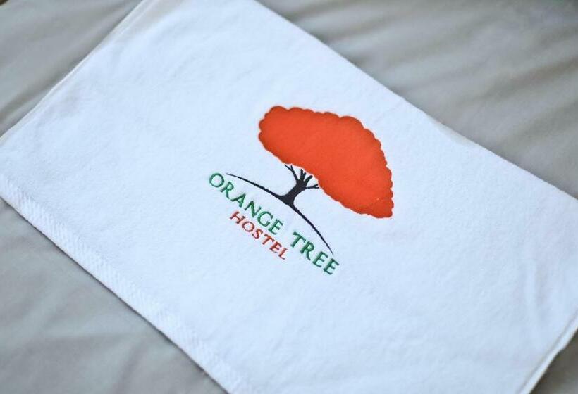 Семейный Номер, Orange Tree