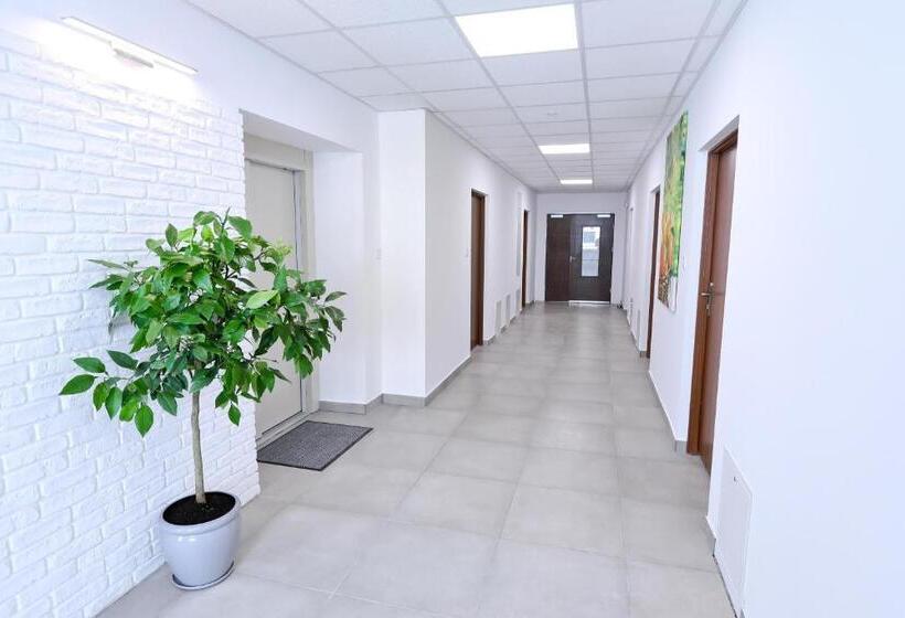 Семейный Номер, Orange Tree