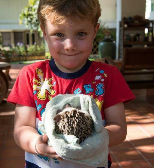 ファミリールーム, Phuttal Residence