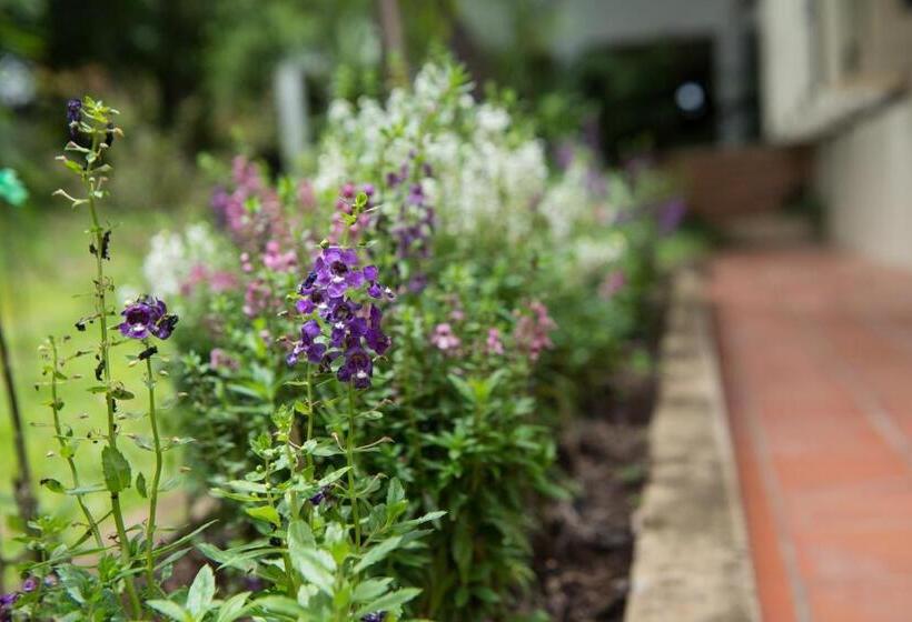 ファミリールーム, Phuttal Residence