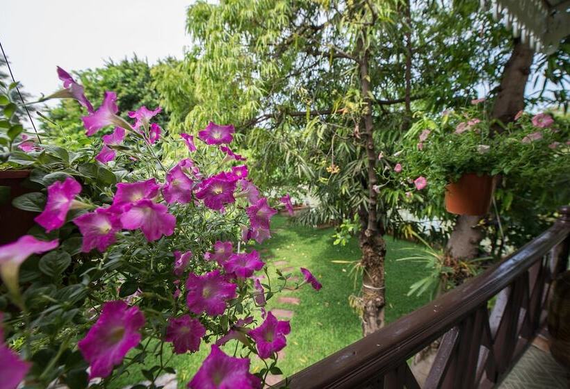 リバービュースタンダードルーム, Phuttal Residence