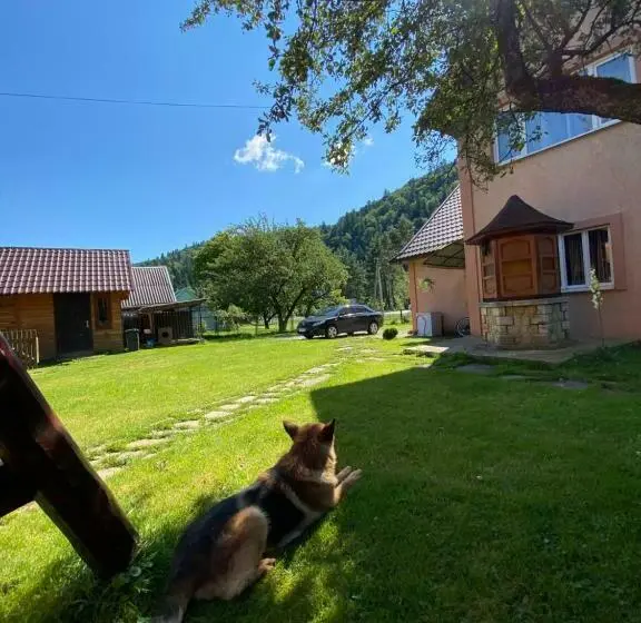 1ベッドルームハウス, Chalet зоряні ночі